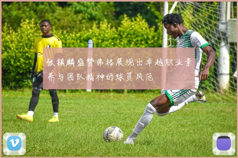 张镇麟盛赞弗格展现出卓越职业素养与团队精神的球员风范