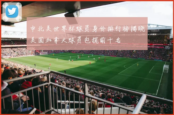 中北美世界杯球员身价排行榜揭晓美国加拿大球员包揽前十名